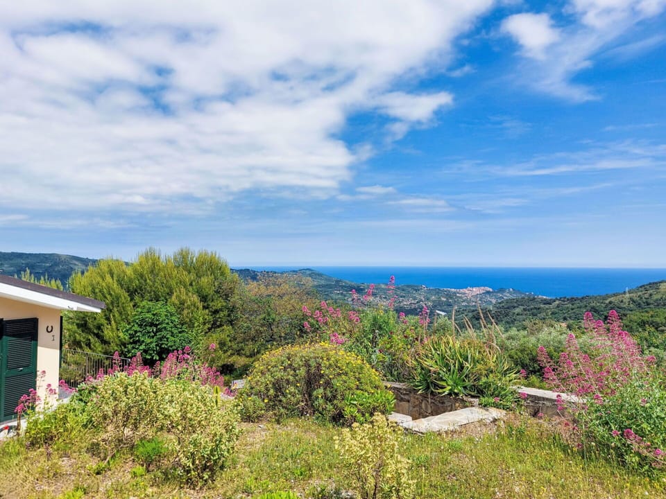 Blue, Sky, Vegetation, Shrub, Landscape, Plant Community, Groundcover, Shrubland, Wildflower, Chaparral