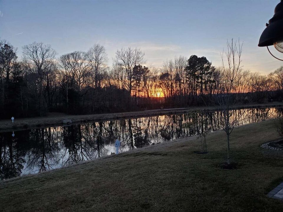 Backyard View