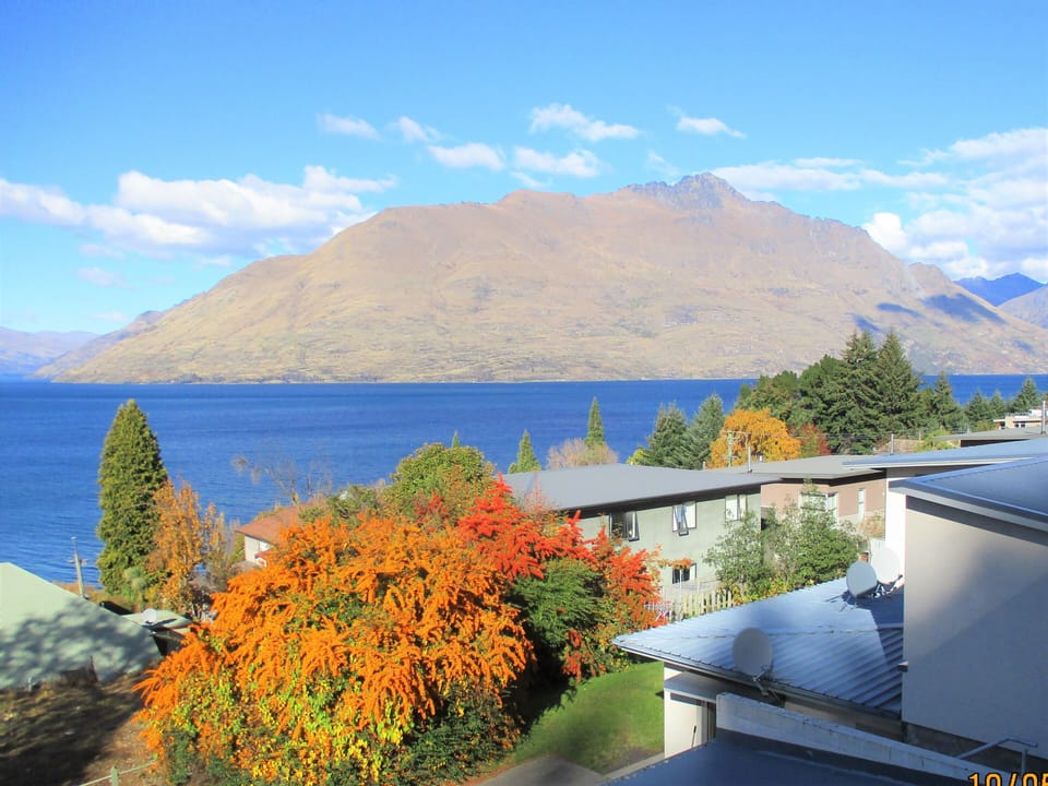 View from unit.