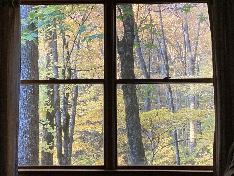 bedroom window view