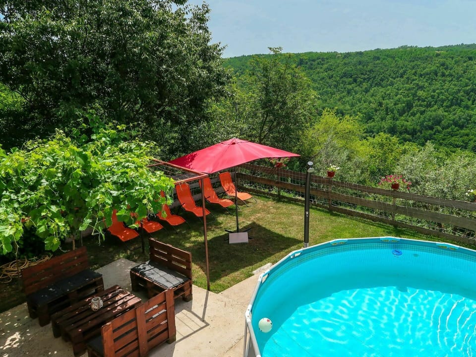 Plant, Water, Sky, Green, Botany, Swimming Pool, Nature, Tree, Outdoor Furniture, Shade