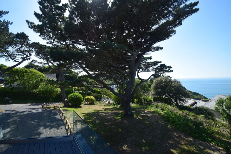 Garden view from the balcony