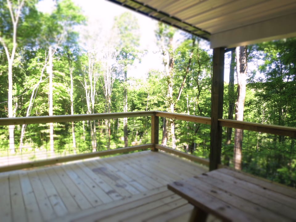 A hawks nest view from the porch
