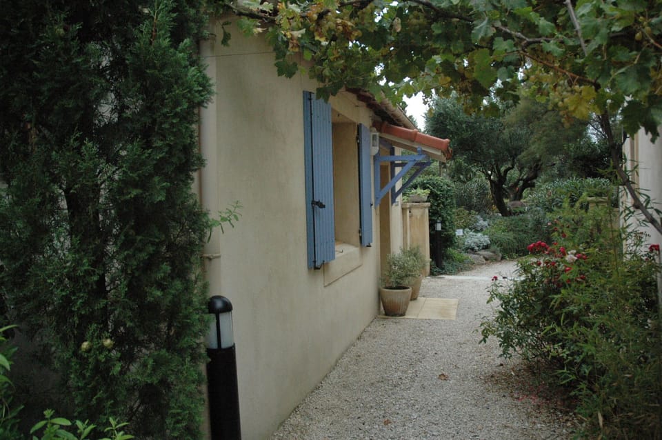 Walkway under grapes to entrance

