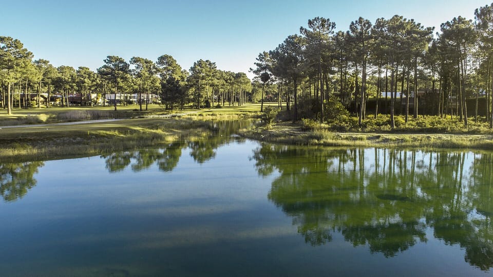 Tranquil lakeside grounds with tall pine trees — Villa Sol e Mar, holiday villa in Charneca da Caparica