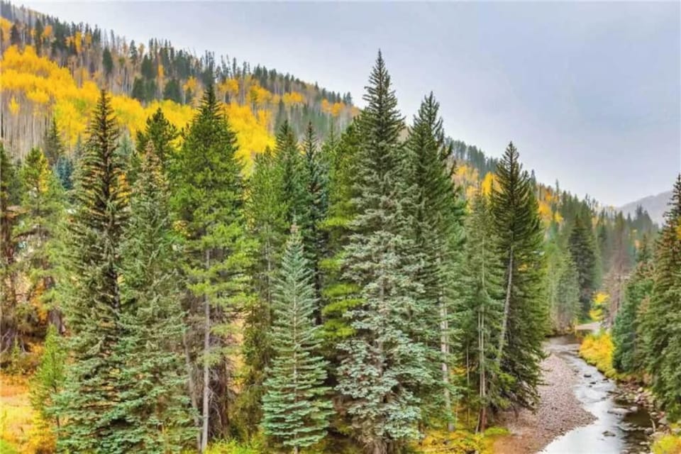 Creek and mountain views