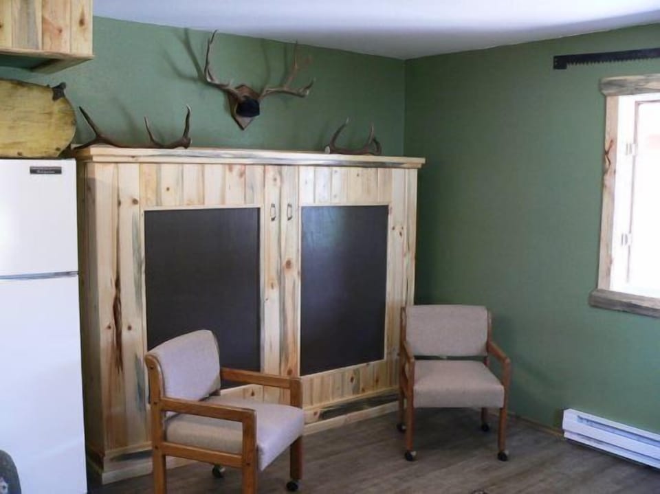 The closed Murphy bed in the living room.