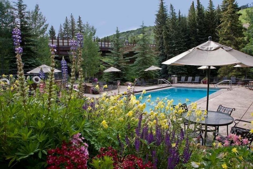 Pool - Lion Square Lodge at Lionshead Village