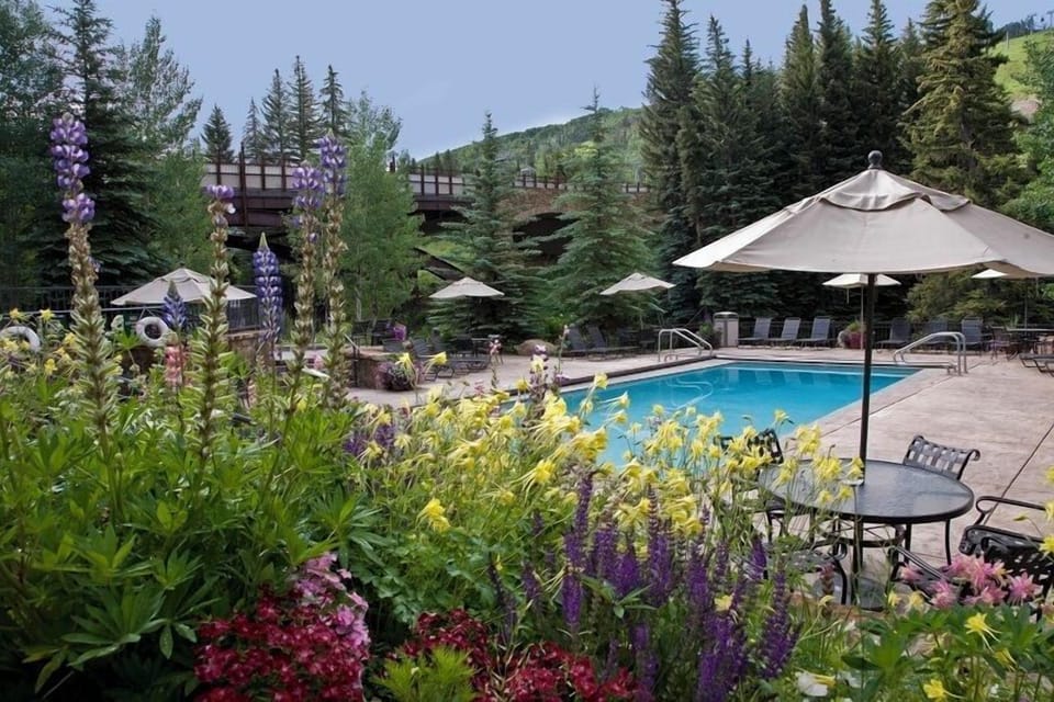 Pool - Lion Square Lodge at Lionshead Village