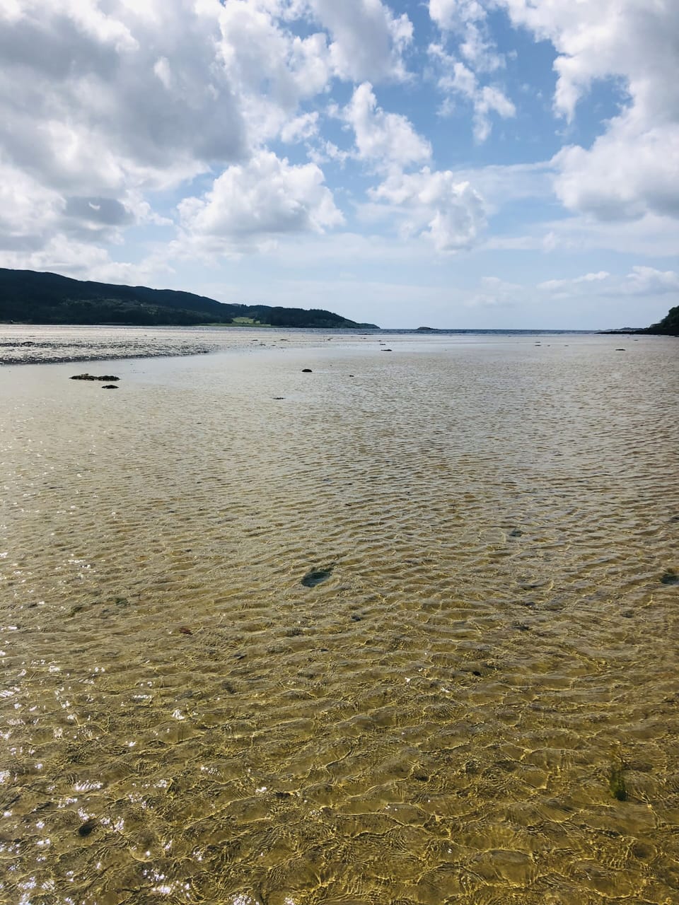 Outside Lochead Chalet, shallow water 