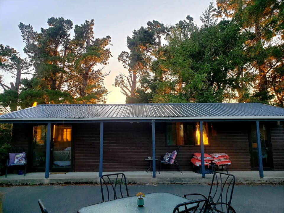 Good Morning from Height of Dunedin Hideaway!