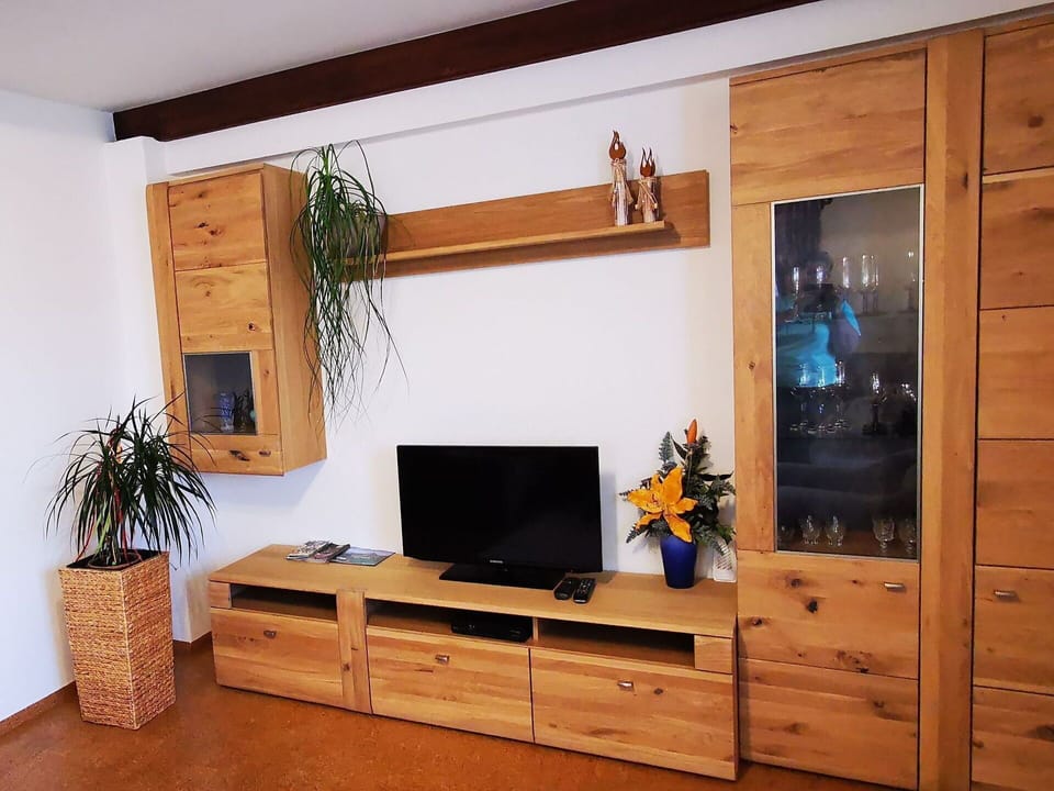 Property, Cabinetry, Furniture, Plant, Houseplant, Building, Wood, Interior Design, Lighting, Television