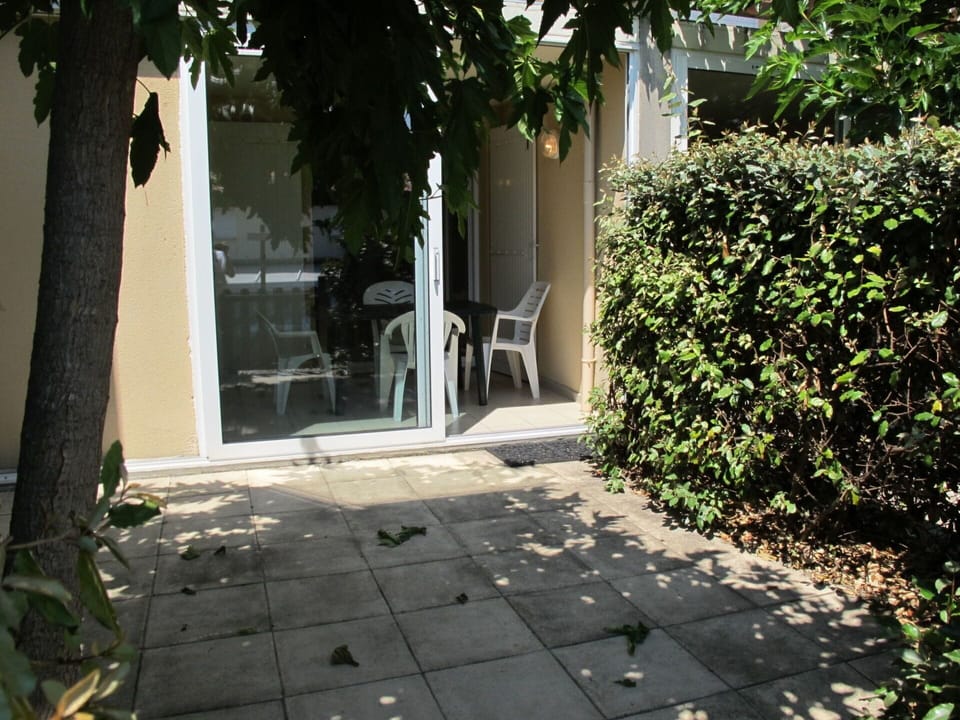 Plant, Road Surface, Shade, Sunlight, Neighbourhood, Building, Tree, Residential Area, Grass, Asphalt
