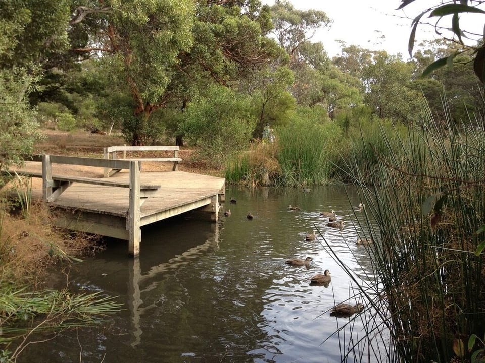 Walk via this beautiful Taylors Park to the main town.