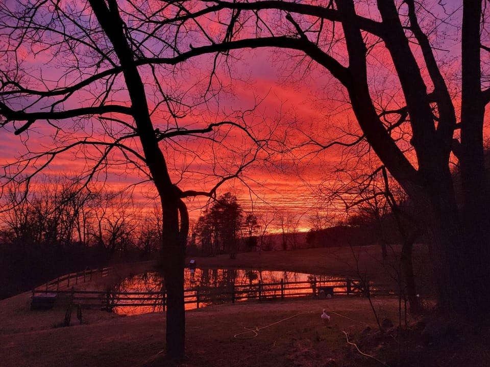 Watch the sun set over the pond.