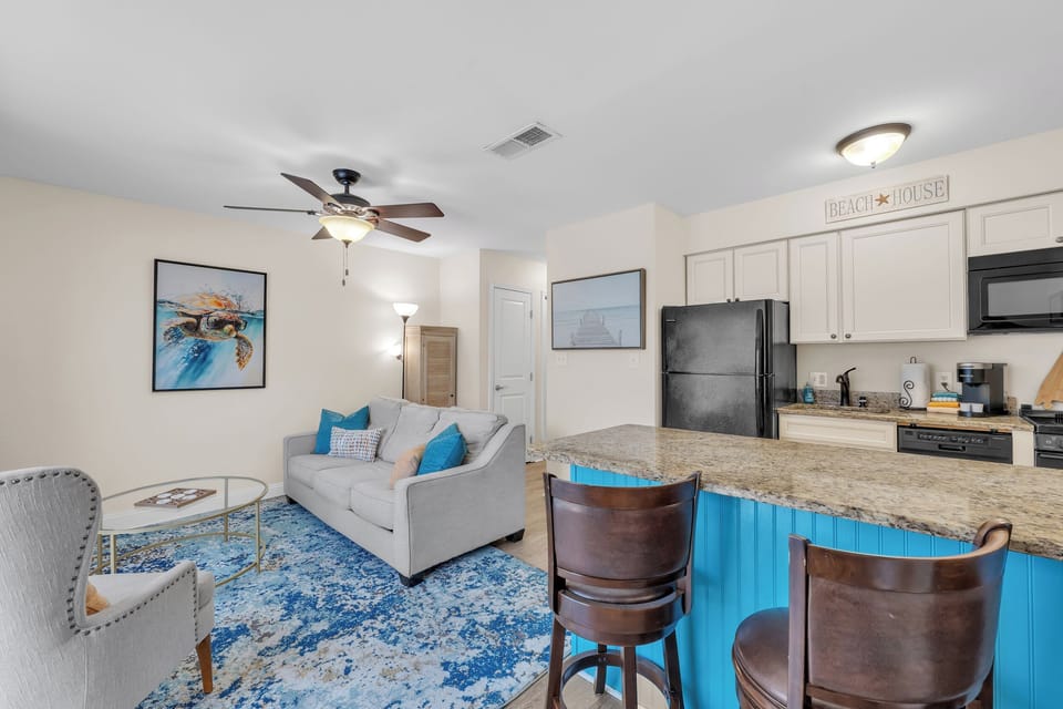 Living / Kitchen Area