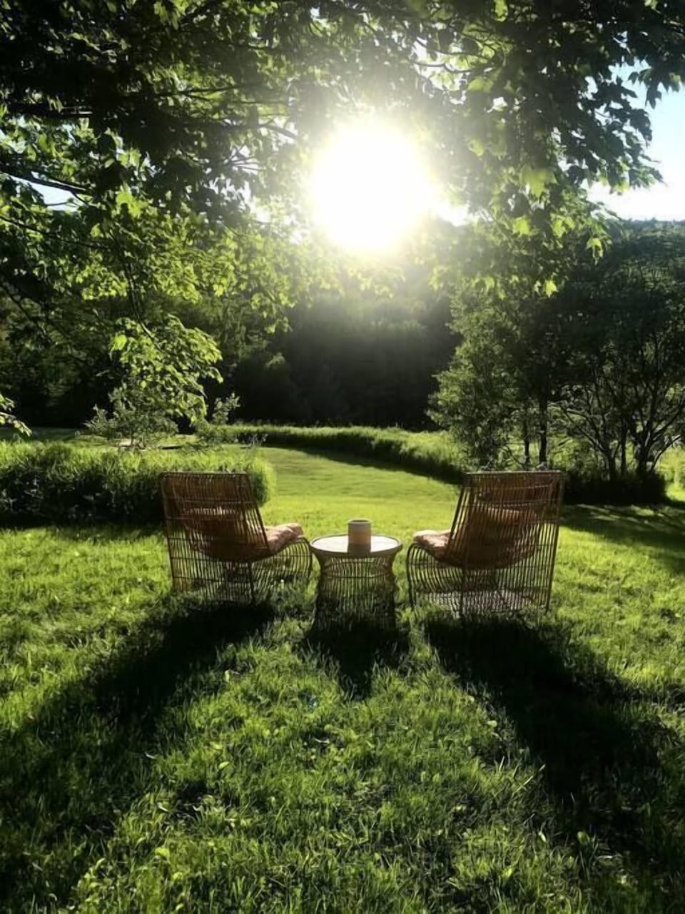 Backyard Revival