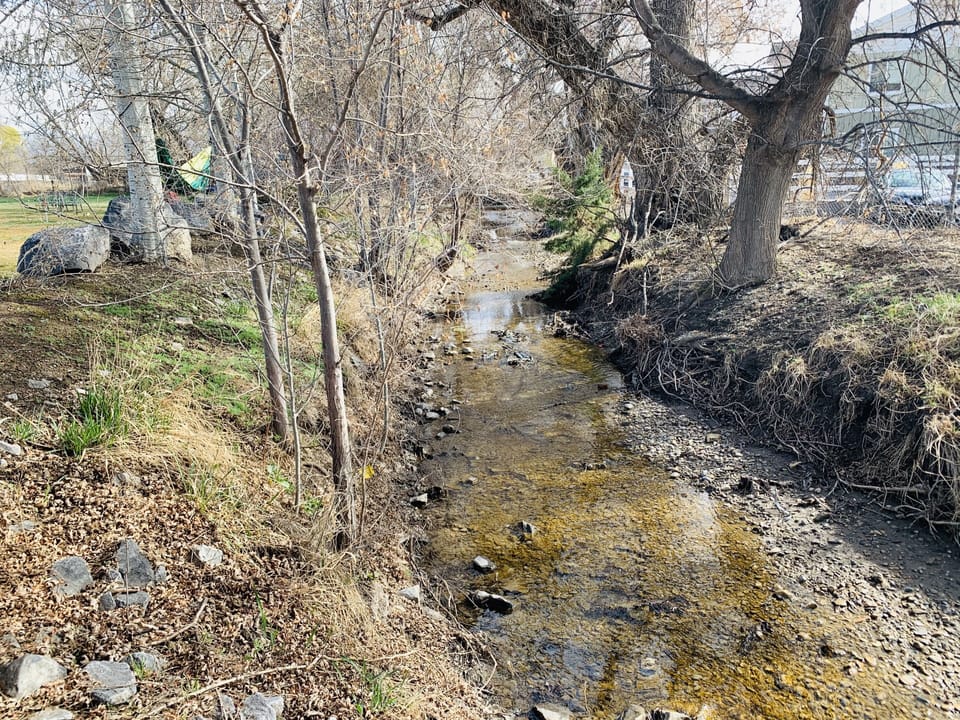 Dry Creek running alongside the property