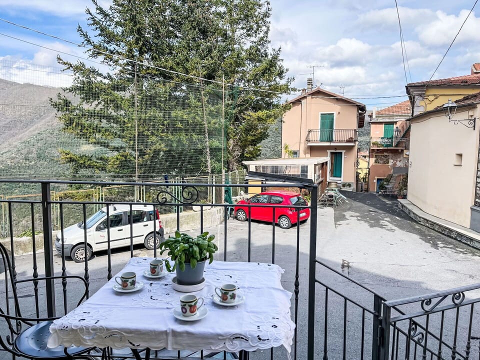 Balcony, Flowerpot, Chair, Iron, Outdoor Furniture, Houseplant, Outdoor Table, Porch, Fence, Handrail