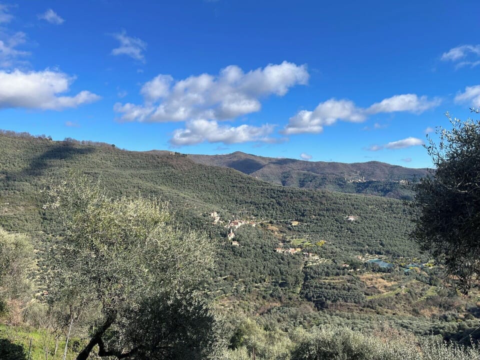 Mountainous Landforms, Mountain, Vegetation, Hill, Highland, Ecoregion, Plant Community, Landscape, Wilderness, Terrain