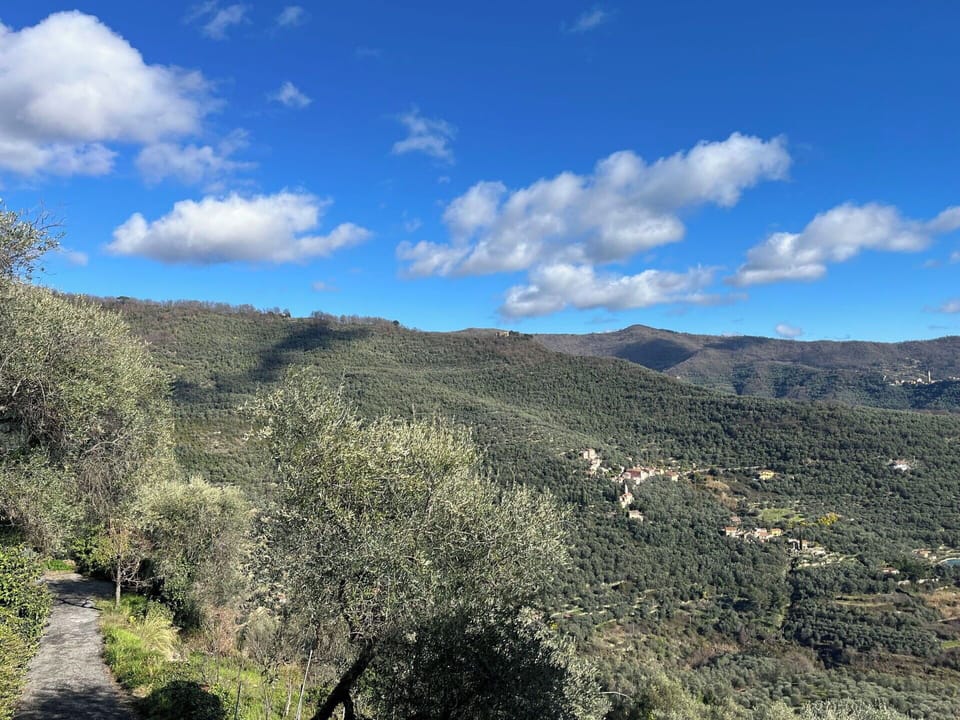Mountainous Landforms, Vegetation, Mountain, Hill, Highland, Plant Community, Ecoregion, Wilderness, Hill Station, Chaparral