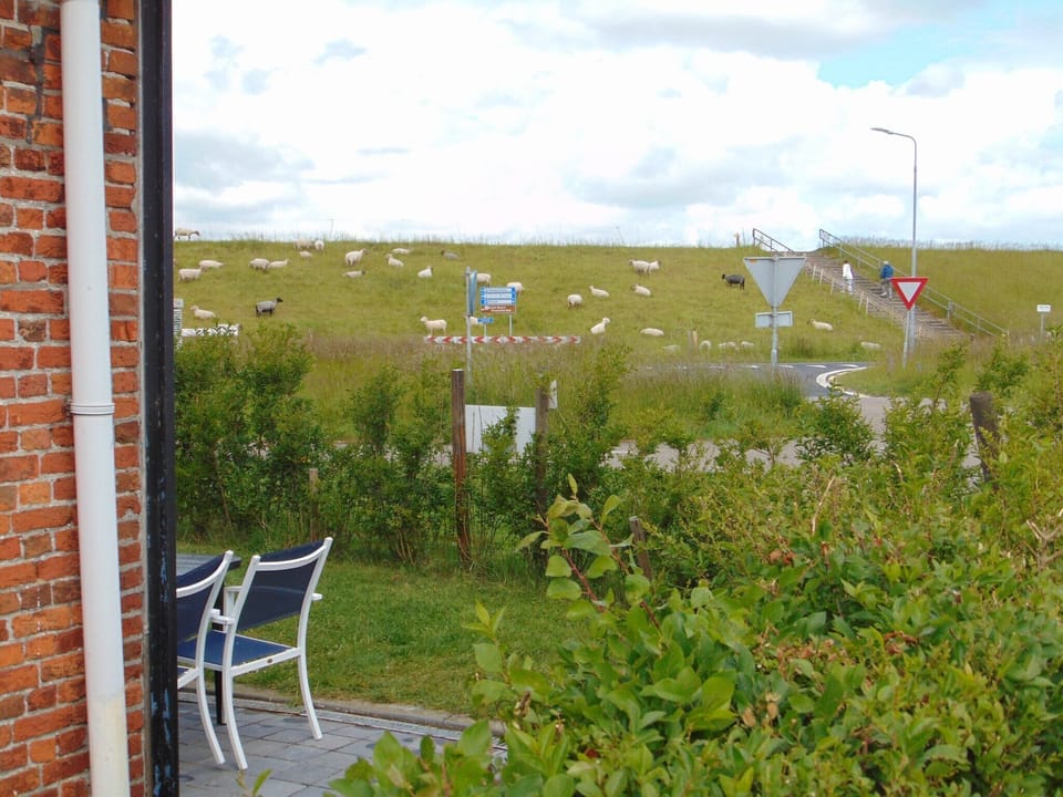 Immediate Surroundings [summer] (<1 km)