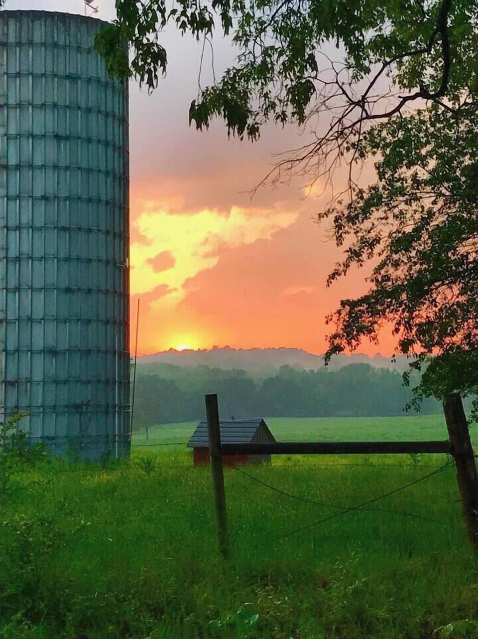 Old silo view from front yard. 
