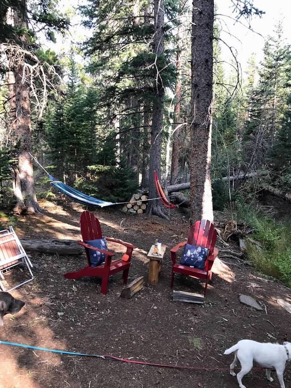 Spend Time Outside in the Hammocks