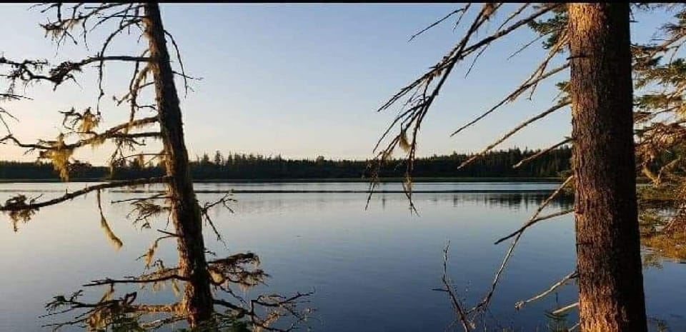  just a  view of Tenney Cove from house