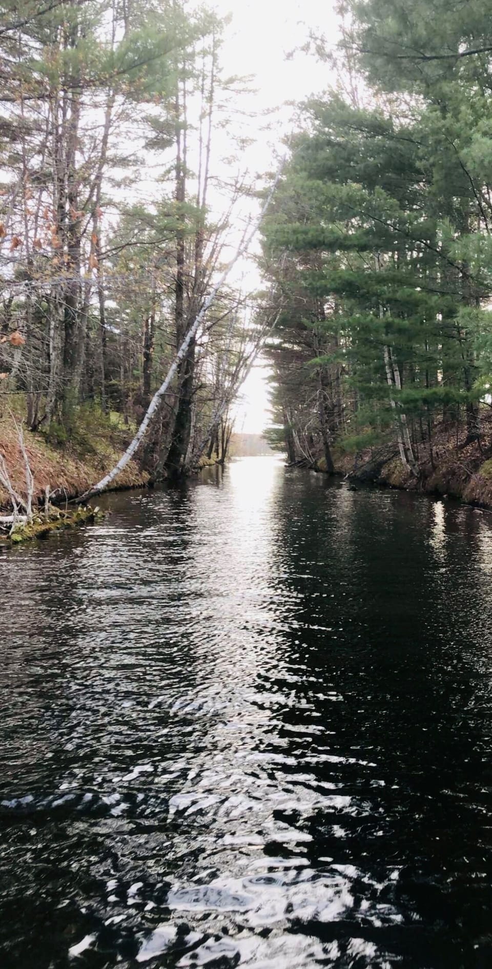 Explore the 6 different lakes through the channels.