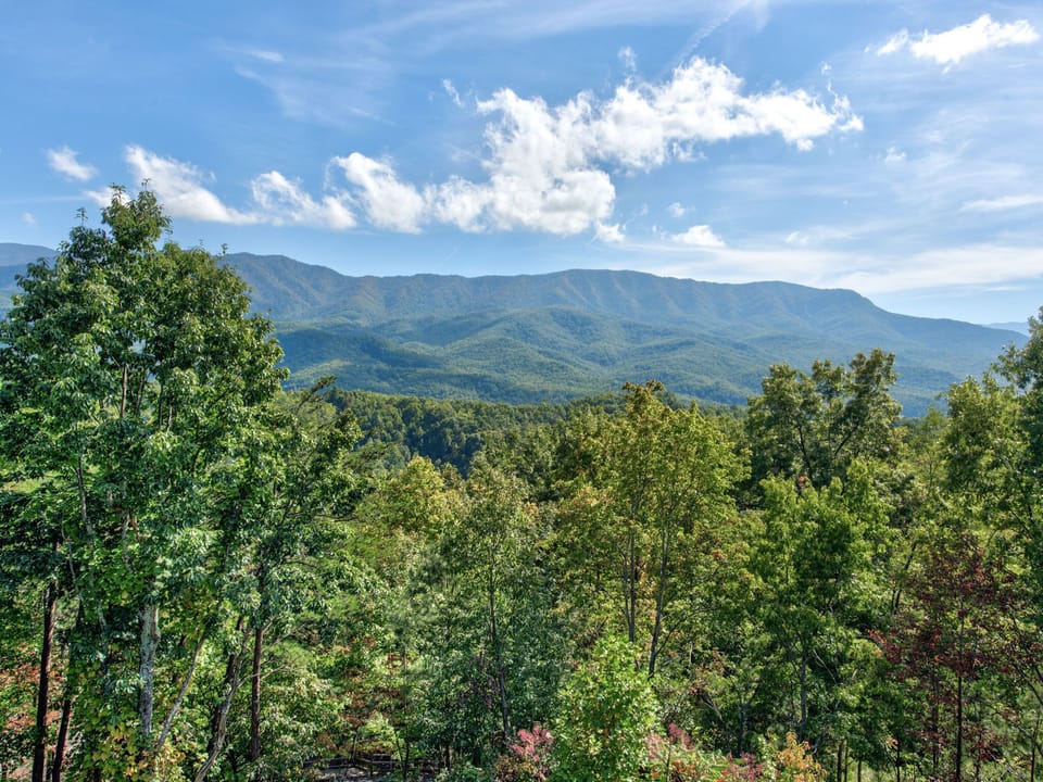 Summer Mountain View
