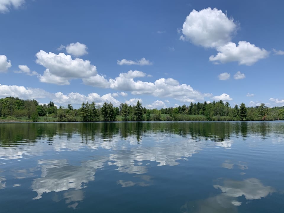View of Laurel Lake.