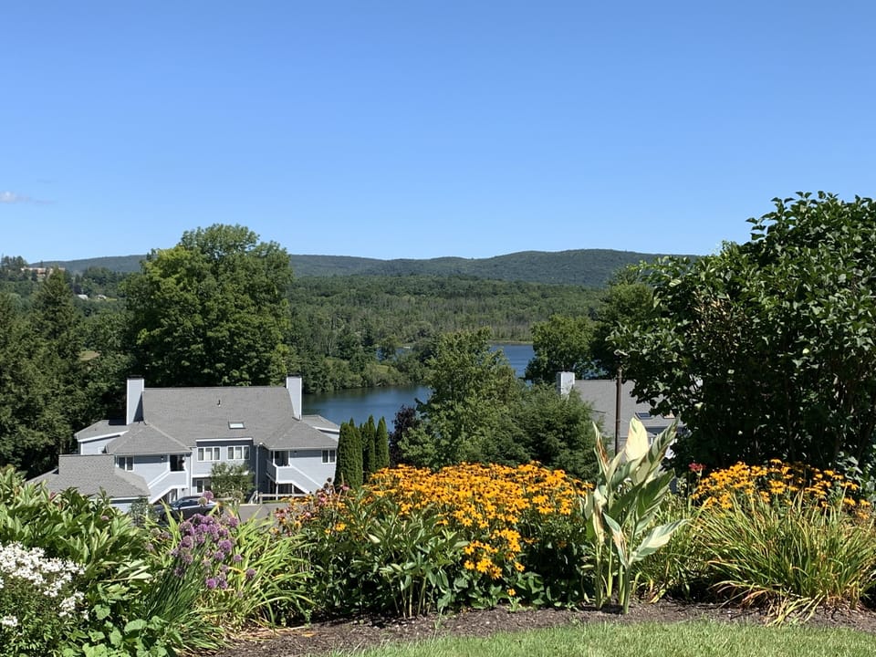 View from the hill above the condo.