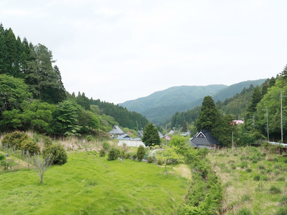 The pastoral scenery around the facility is also recommended