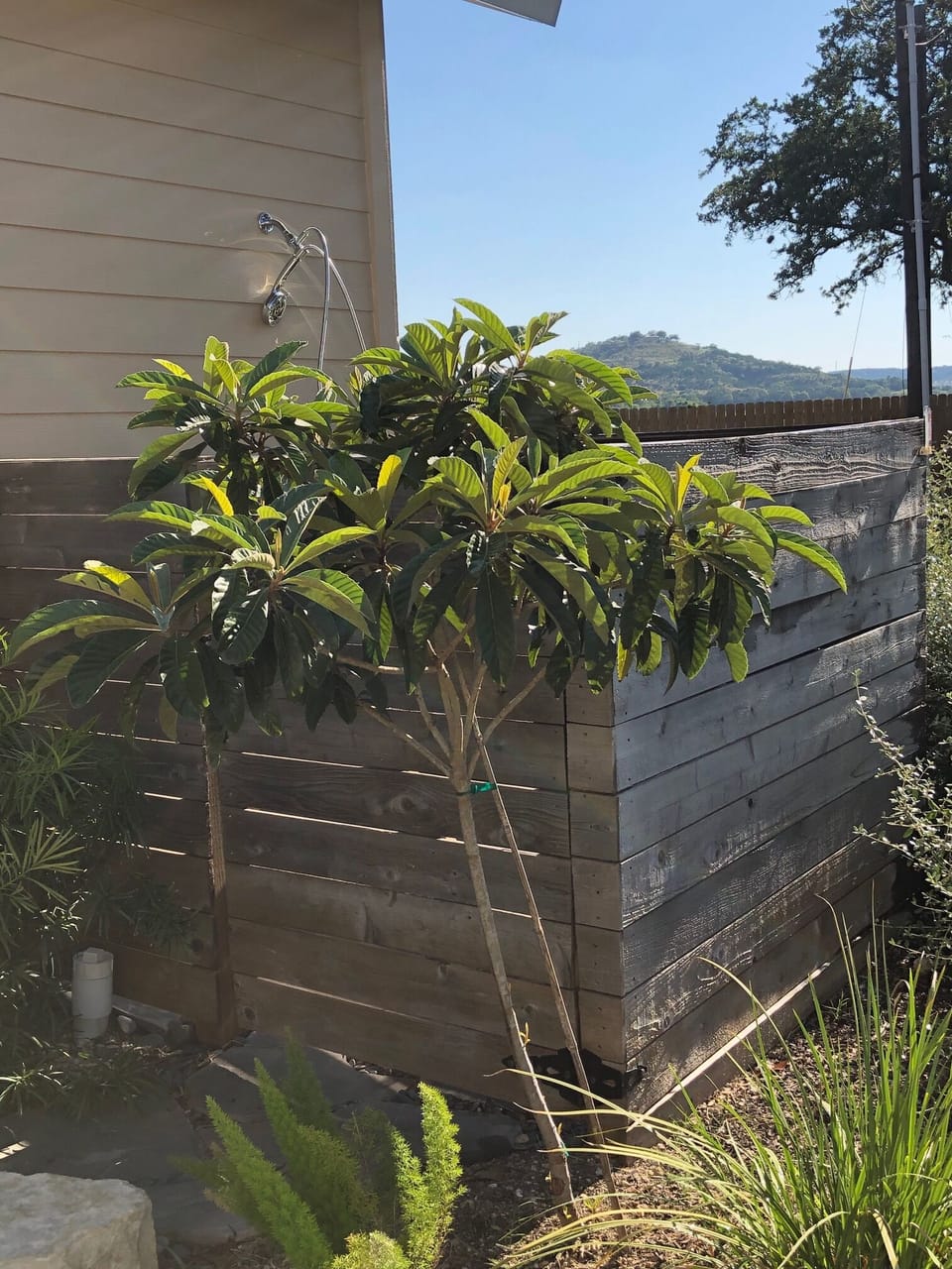 Outdoor Shower