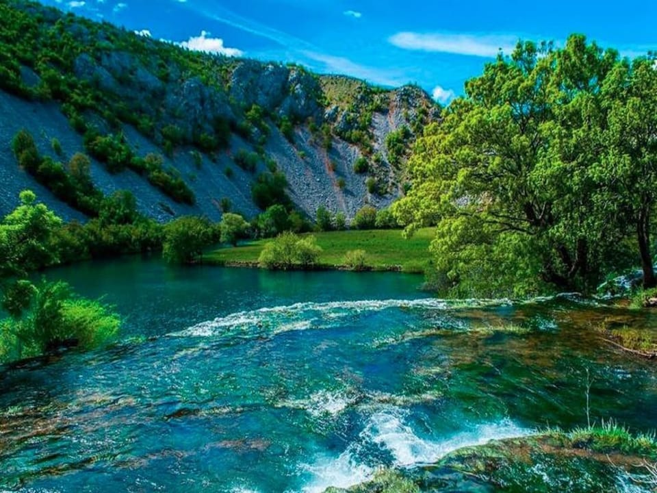 Region [summer] (>5 km)