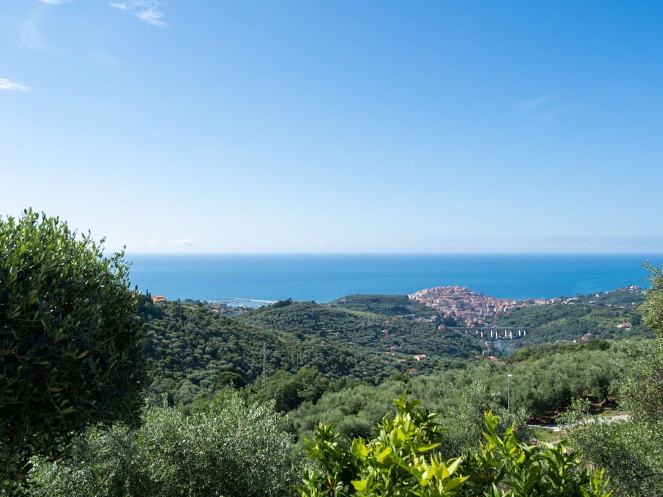 Sky, Vegetation, Nature, Blue, Green, Sea, Wilderness, Natural Environment, Horizon, Nature Reserve