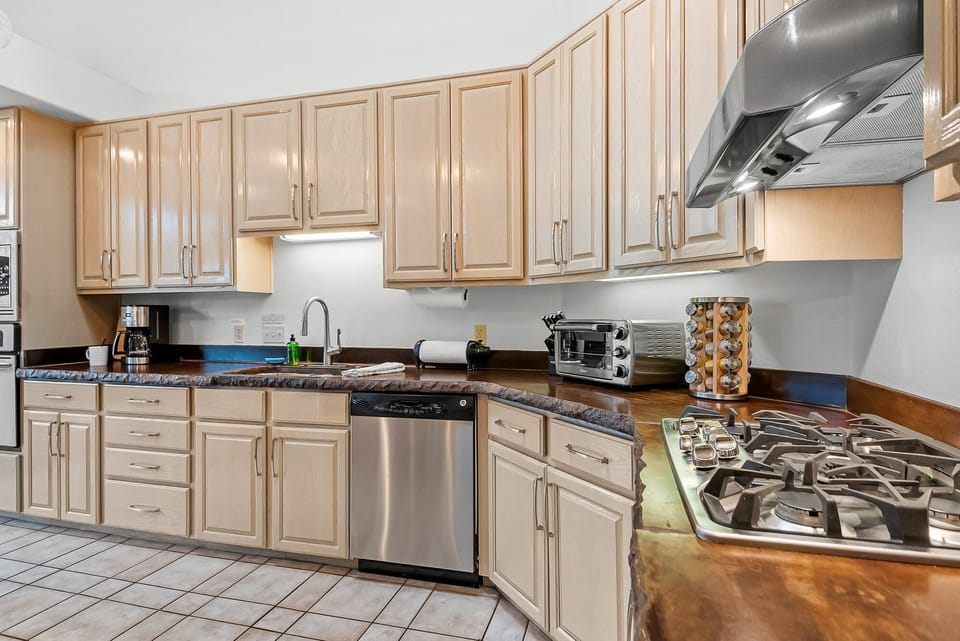 Stainless Steel Appliances Including a Gas Stovetop and a Convection Oven