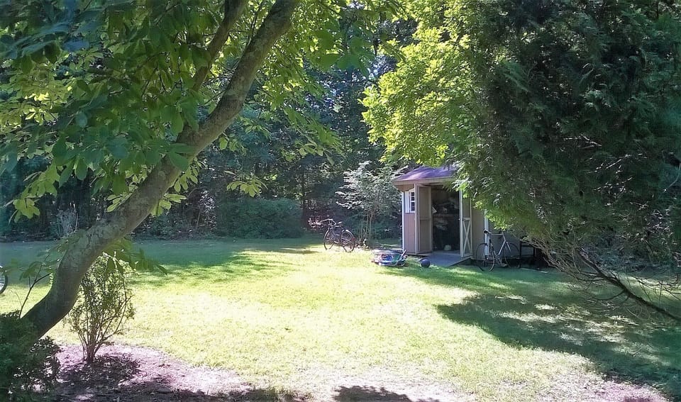 Shed