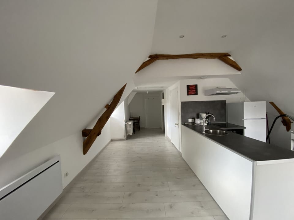 Cozy 1-Bedroom Apartment Near Saint Roch Thermal Baths, La Roche-Posay Apartment in Centre-Val de Loire