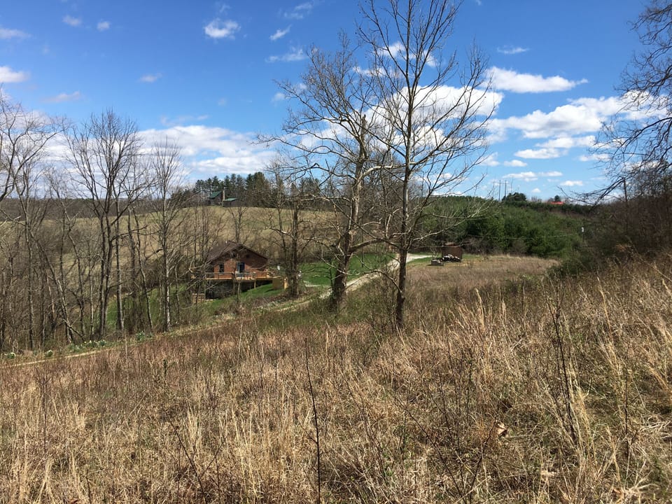 Solitude at Chubby Frog Cabin
