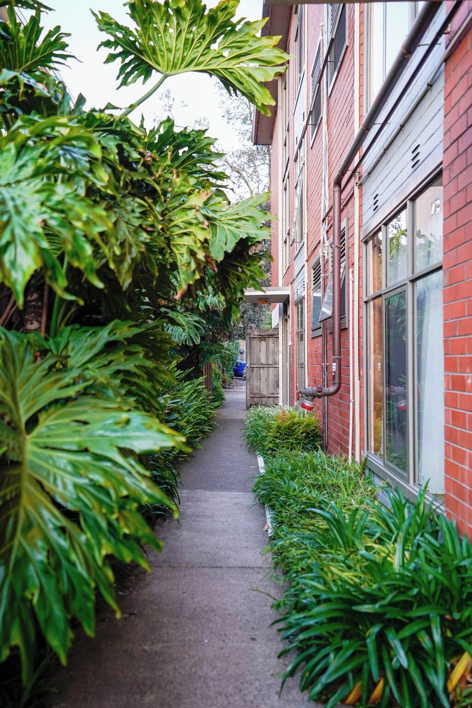 Grey St Pathway