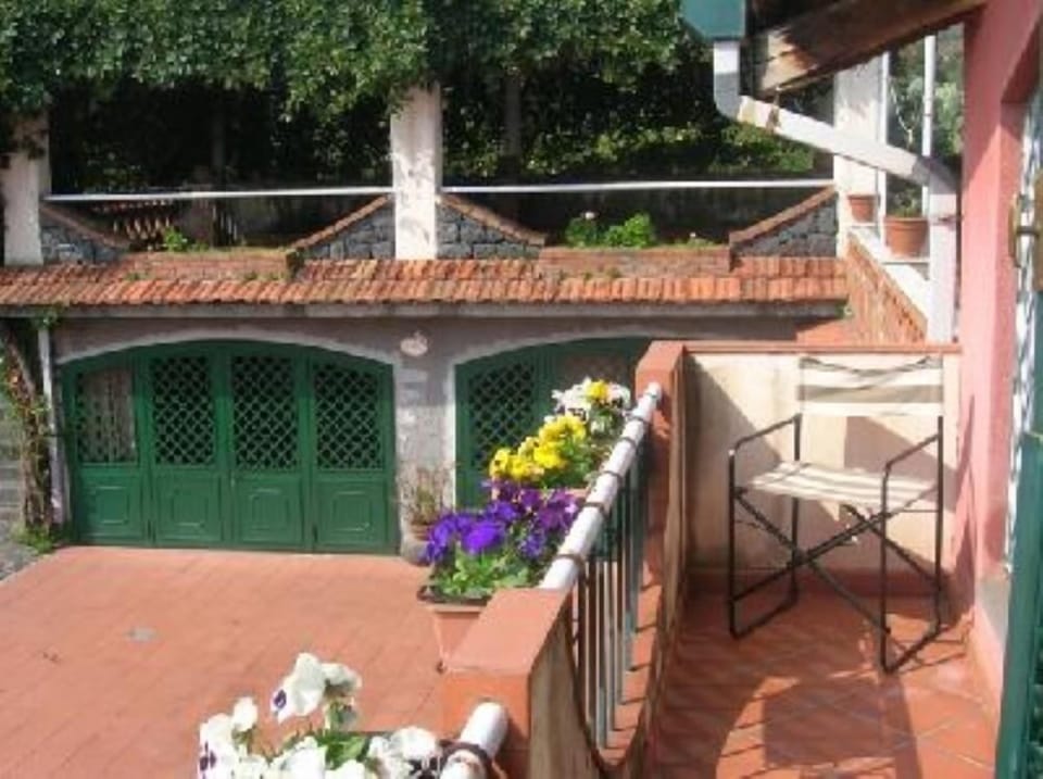 Terrace / Balcony
