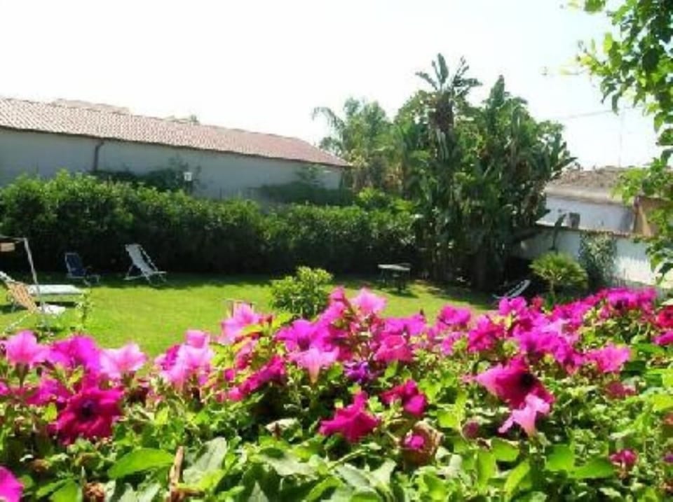 Garden, Park