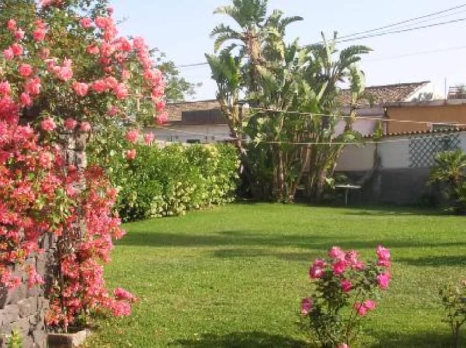 Garden, Park