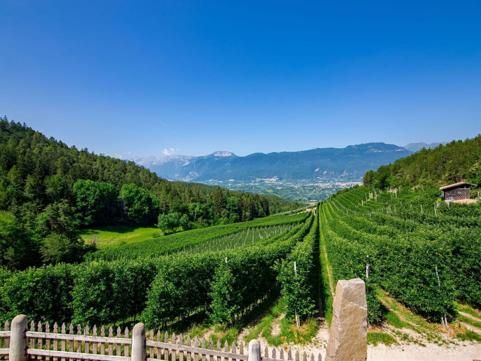 Wood, Lighting, Interior Design, Flooring, Floor, Living Room, Real Estate, Hardwood, Table, Beam