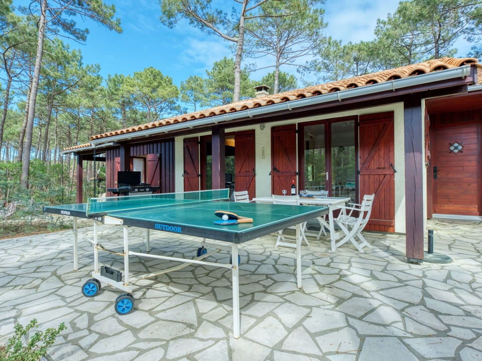 Sky, Table, Plant, Window, Property, Building, Sports Equipment, Shade, Tree, Wood