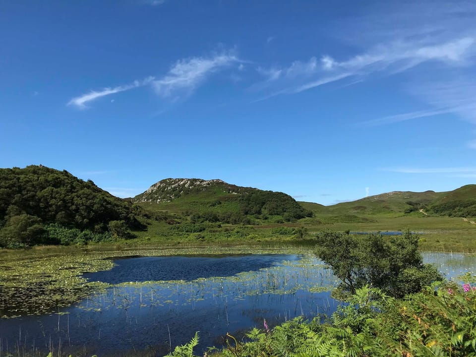 Lily Lochs on the hill road - walk to them or you can drive over the hill road 