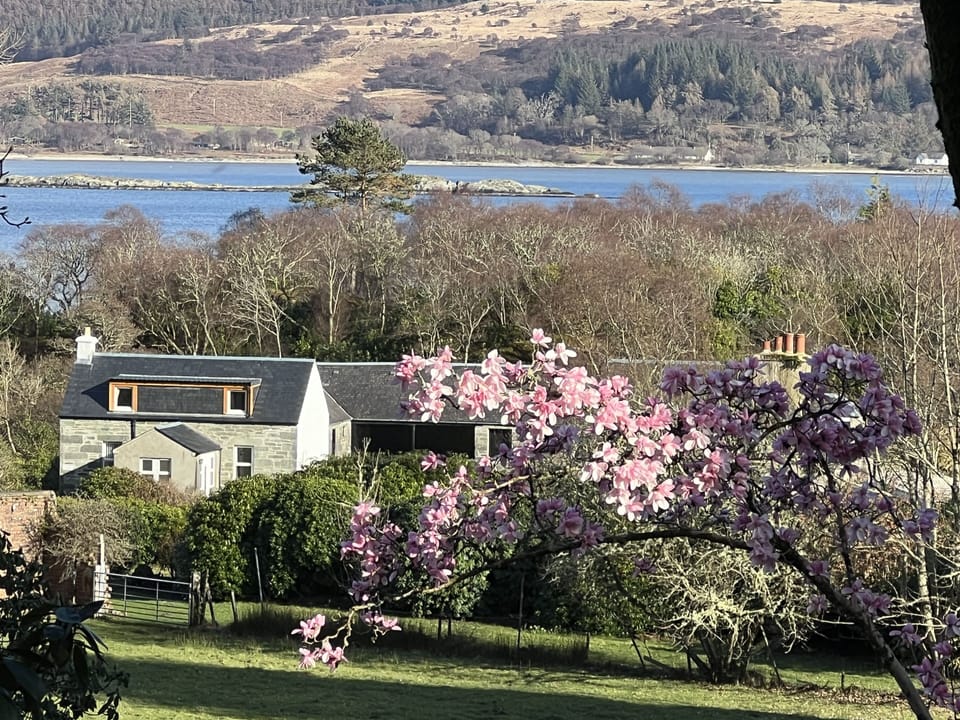 Ellary Farm from The Magnolia Tree