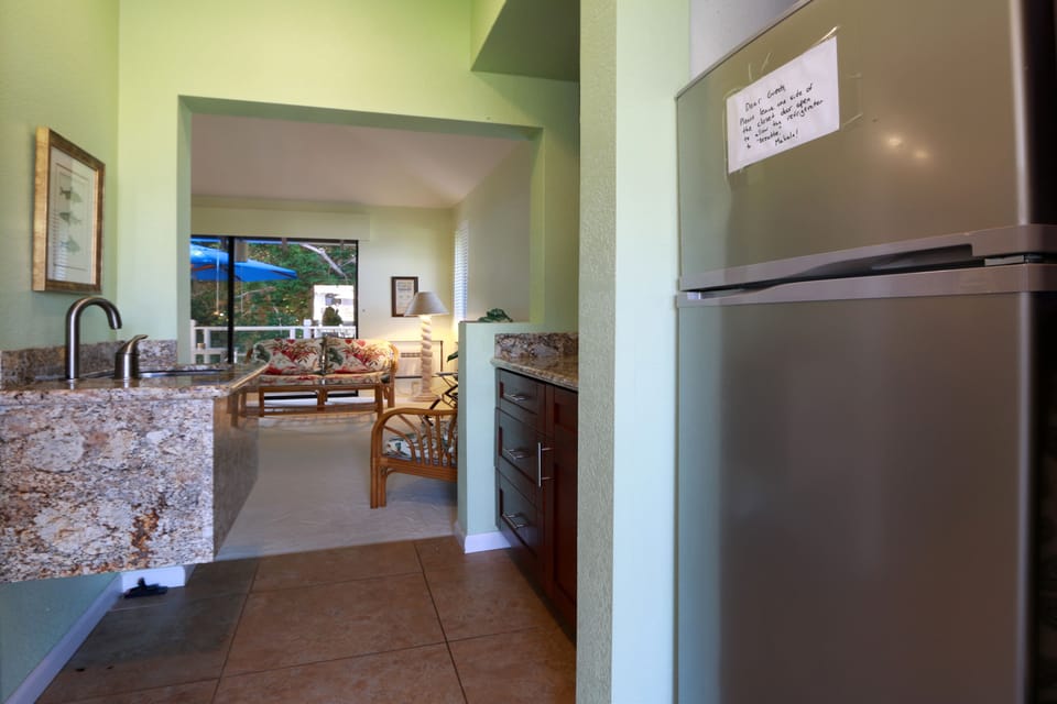 Larger refrigerator for studio,  fresh paint, January, 2016.